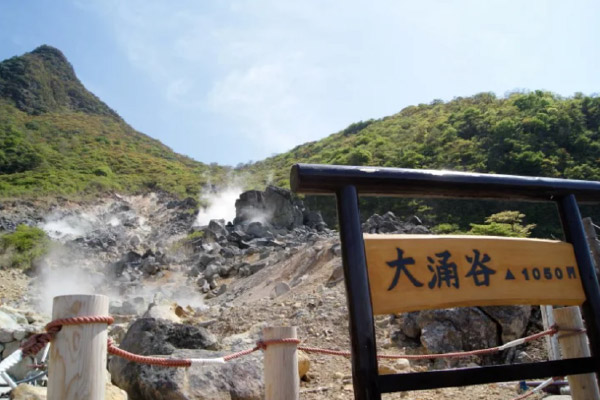 Kamakura Tour